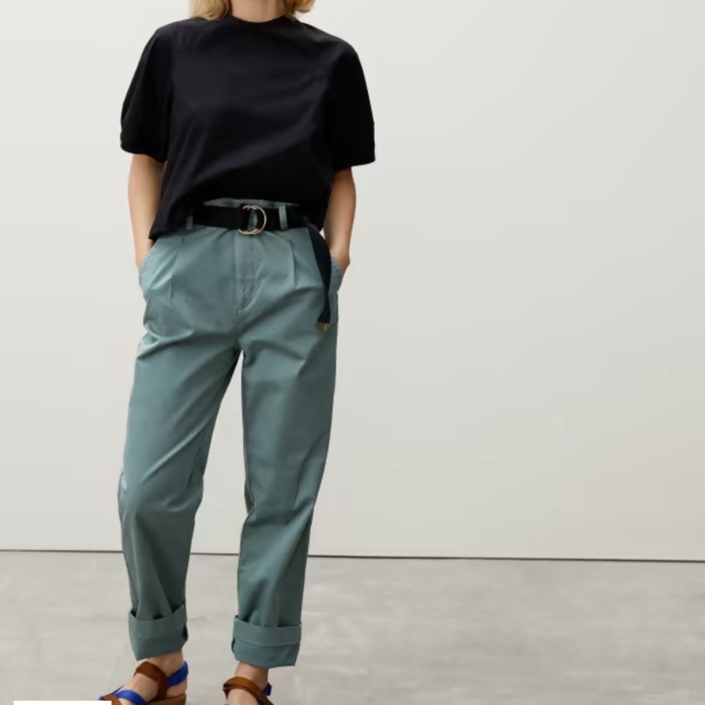 Everlane - The Pleated Chino - Green Balsam